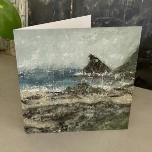 Booby's Bay Greeting Card